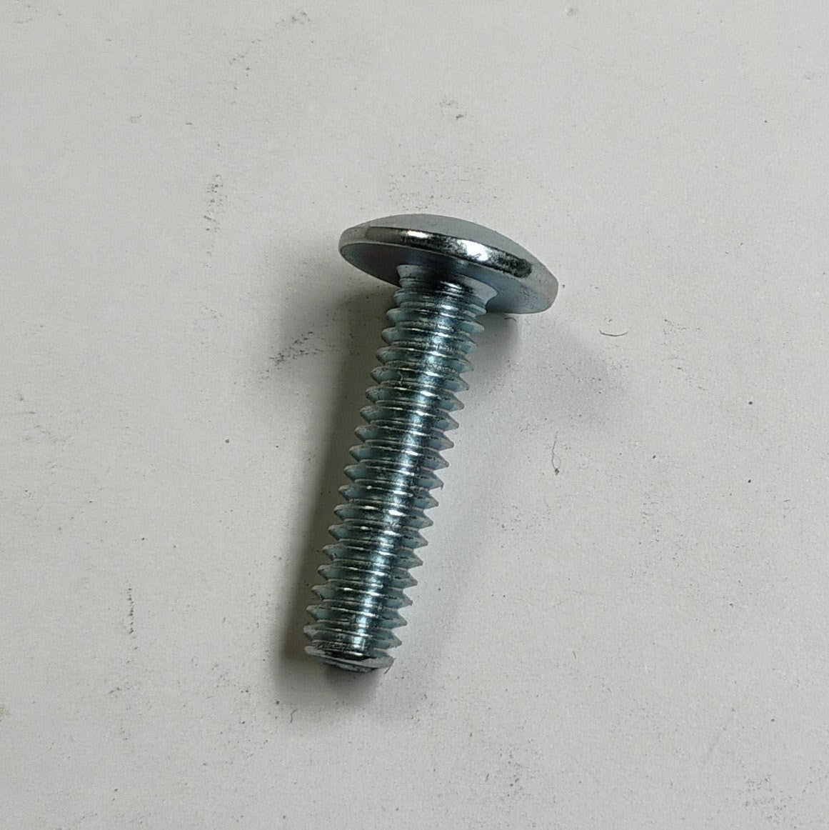 FTG Hinge Screw