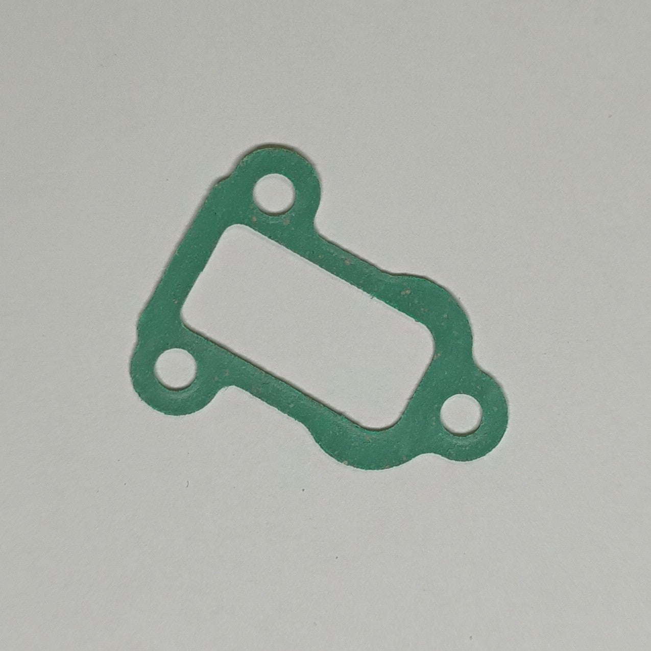 GZ25N14 / GZ25N23 Geo Goped Reed Valve Gasket