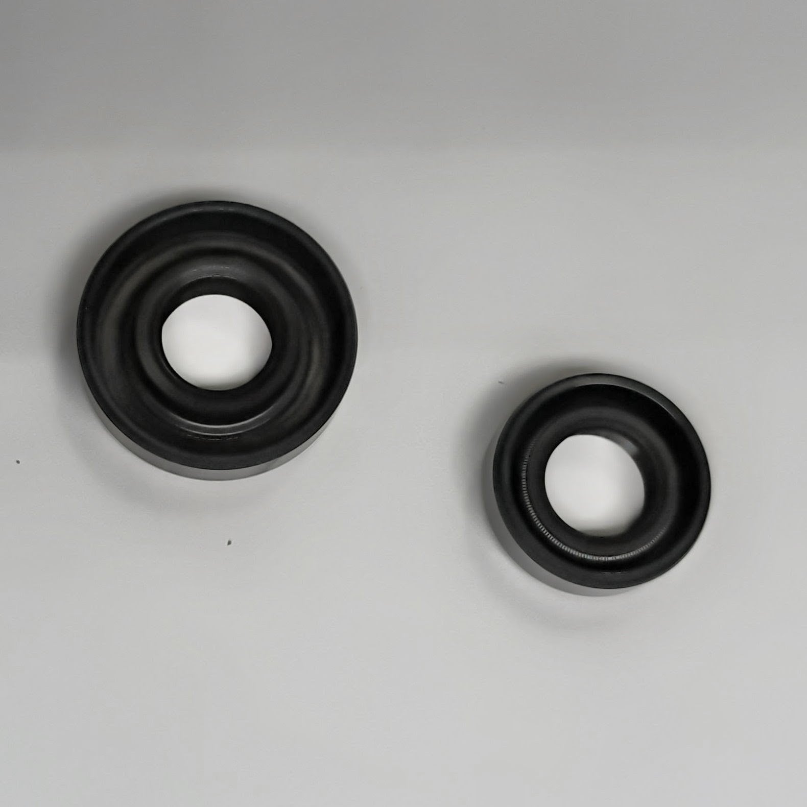 Oil Seals for Zenoah and CY